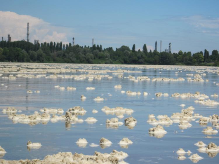 Il Po invaso dalla 'schiuma', sale il livello del fiume