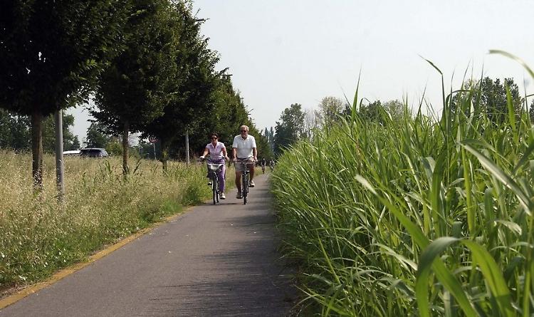 Pedoni e ciclisti, in arrivo risorse regionali per ridurre gli incidenti