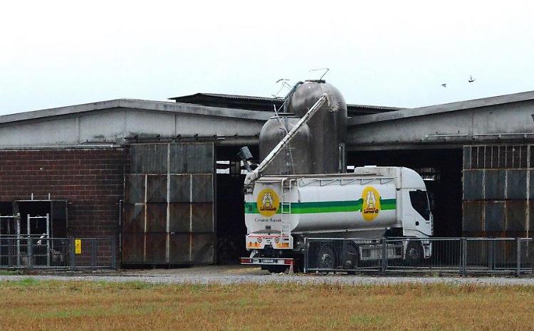 Cade da un silos alto quattro metri, è grave