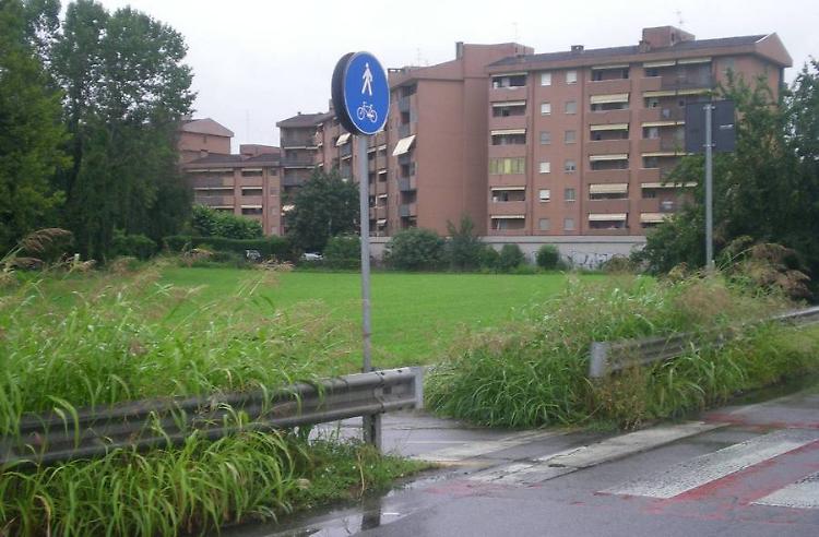 Ciclabile della gronda nord, incrocio a rischio per l'erba alta