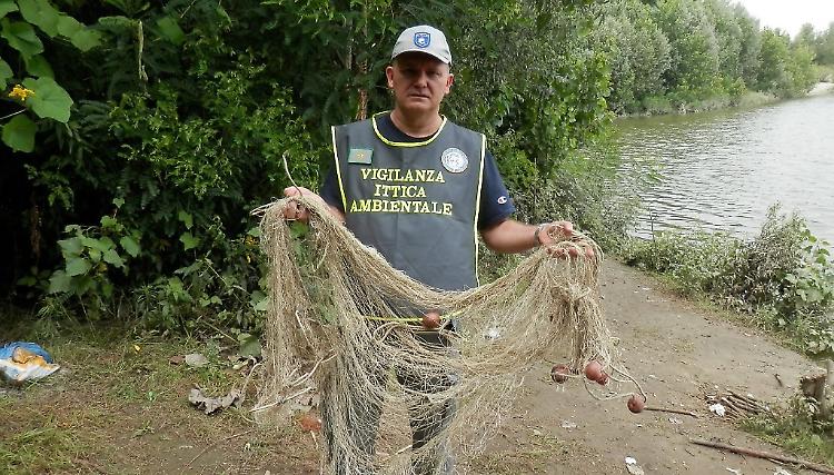 Pesca di frodo nel Po, recuperata una maxi rete