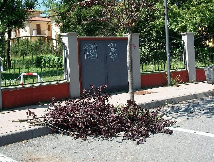 Piazzetta Dello Studente devastata dai vandali