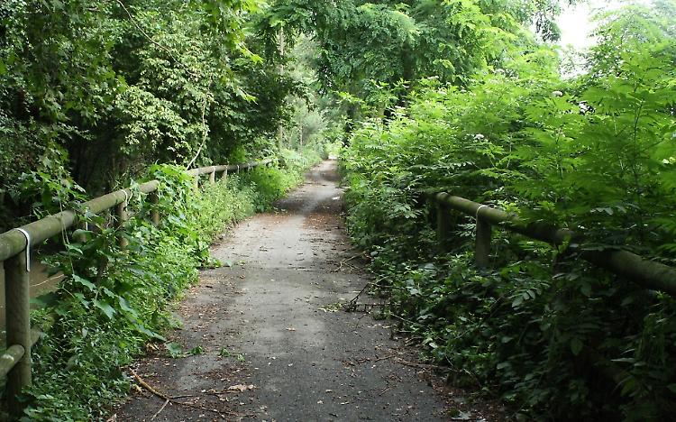 Pista ciclabile tra degrado e incuria
