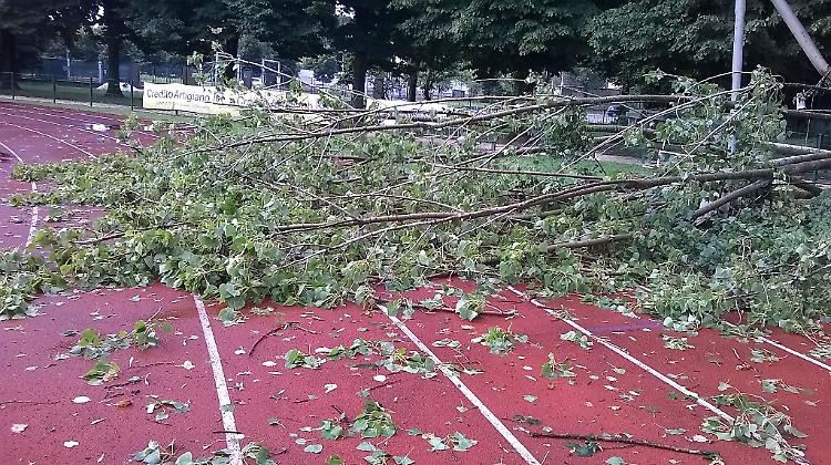 Albero sulla pista di atletica, chiusi campo scuola e via Corte
