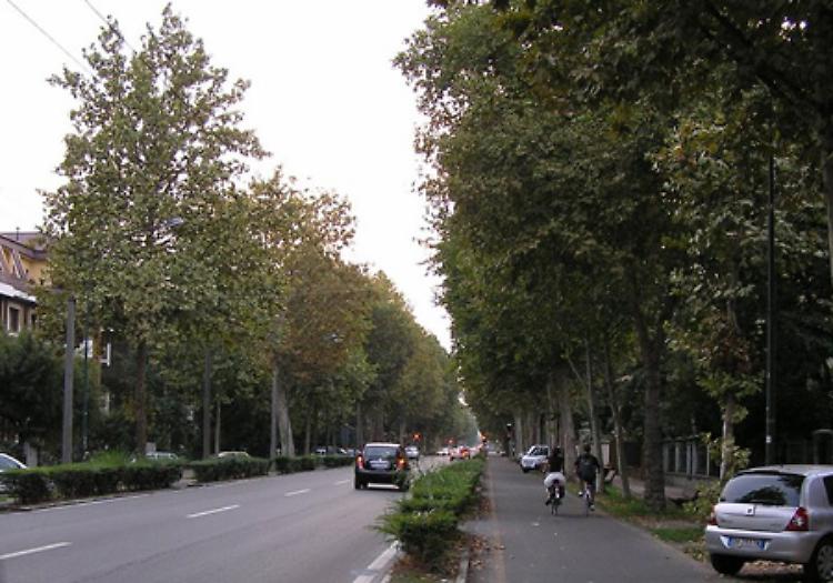 Il marciapiedi è ko Onda blu per pedoni