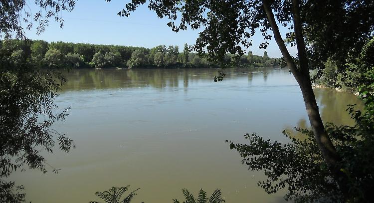 Acqua alta, addio grigliate