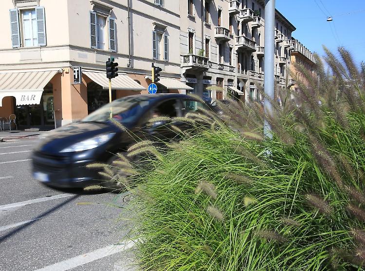 Foto e video dei lettori per segnalare i problemi della città