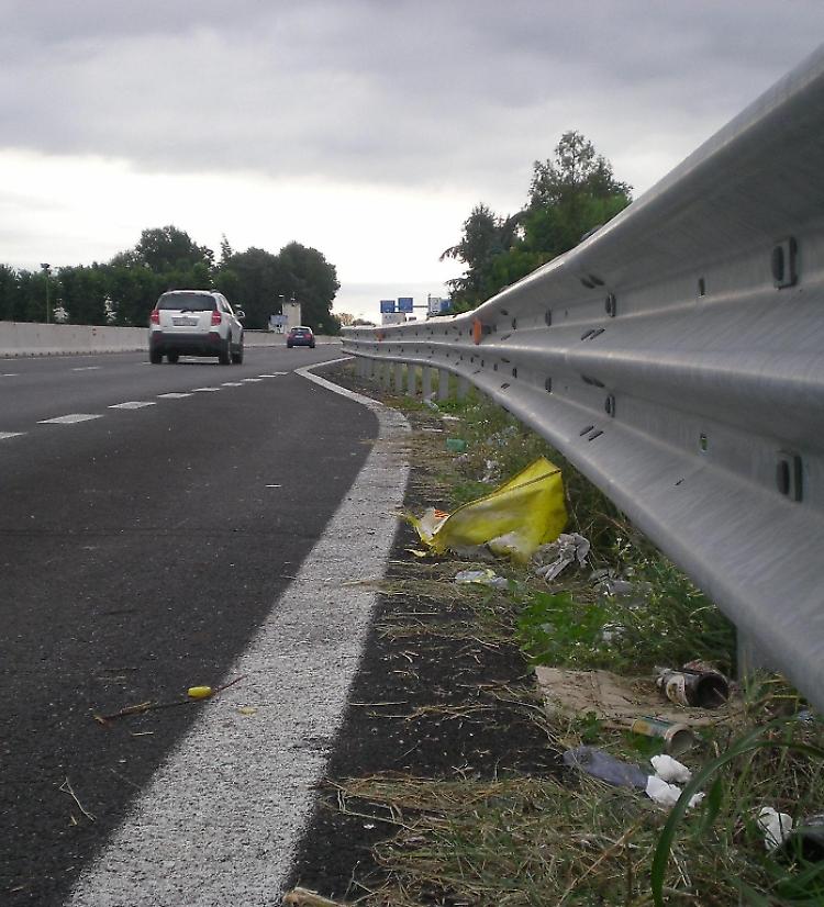 Bordi della Paullese come discarica