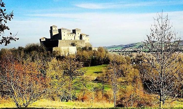 Prosciutto In Vigna intorno al Castello di Torrechiara (PR)