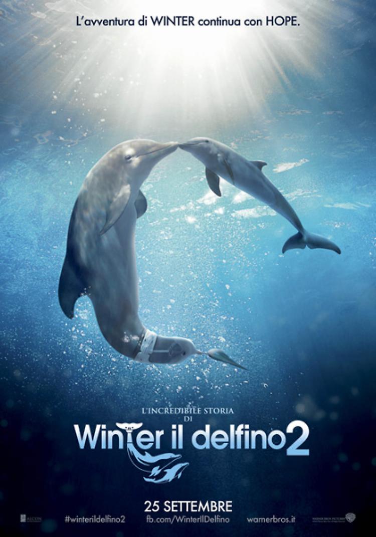 L'incredibile storia di Winter il Delfino 2