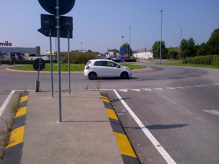 Mulo in tangenziale investito e ucciso da un'auto 