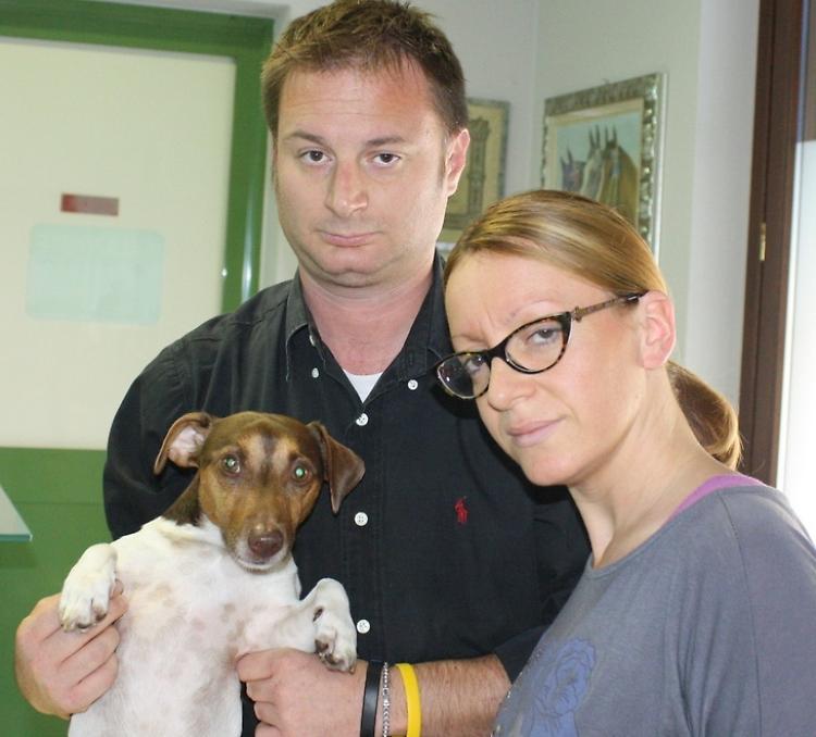 Cane aggredito da un pitbull, i padroni faranno denuncia