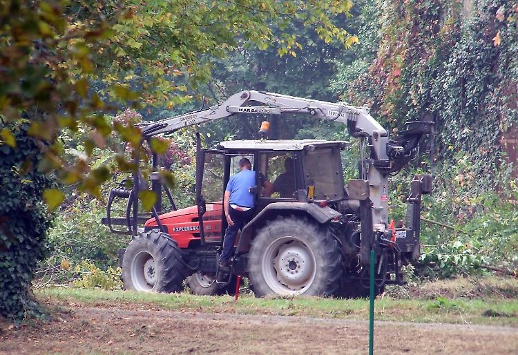 Asvicom 'adotta' il bosco della cascina Pierina