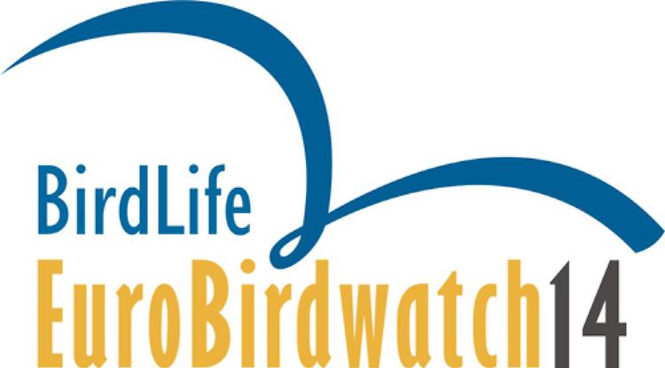 Giornata europea del birdwatching all'Oasi Lipu Lancone di Gussola 