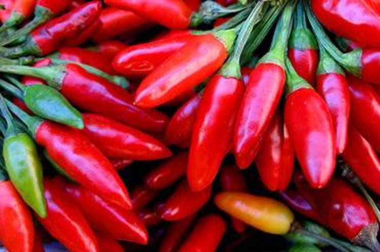 Peperoncino