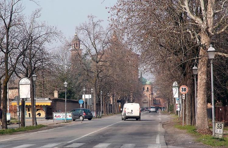 A spasso con il cane, sputi da due giovani