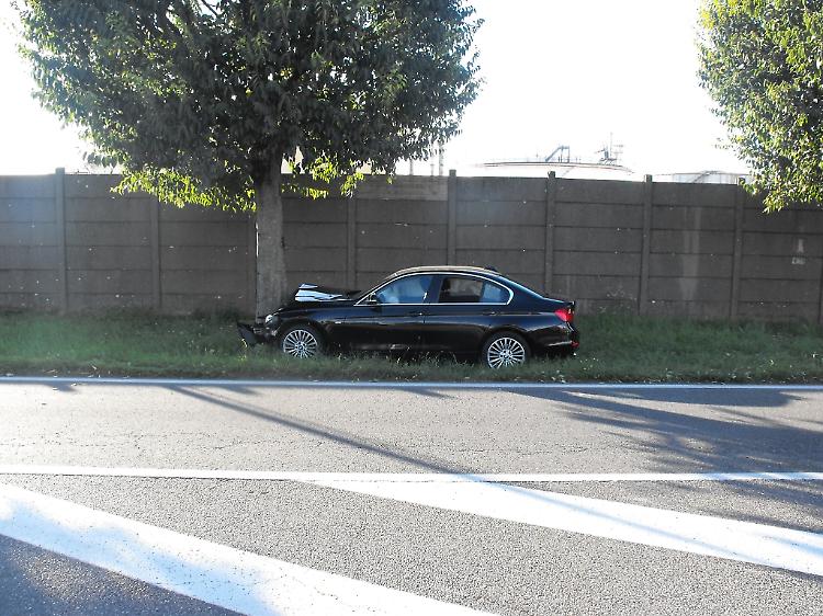 Auto contro una pianta, ferite due persone