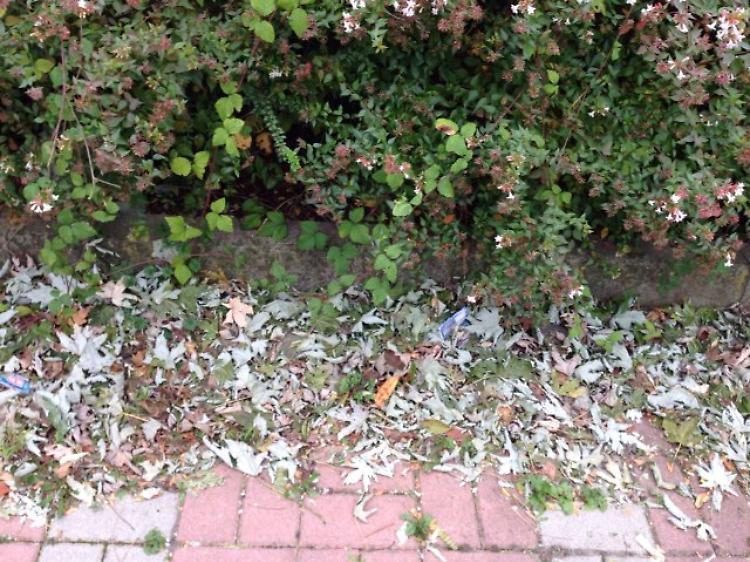 Sporcizia e incuria al Parco Pubblico di Area Porta Nova