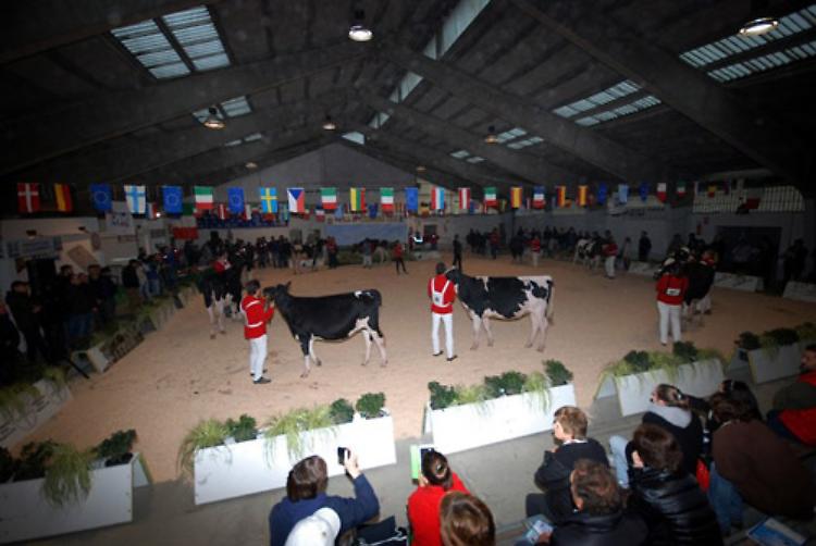 224^ Edizione della Fiera Autunnale di Codogno 18 e 19 novembre