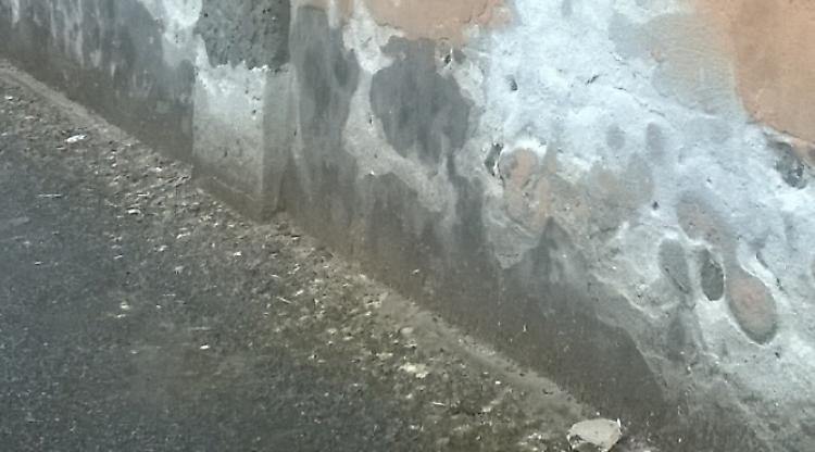 Via Verdi e via Petrali invase dal guano