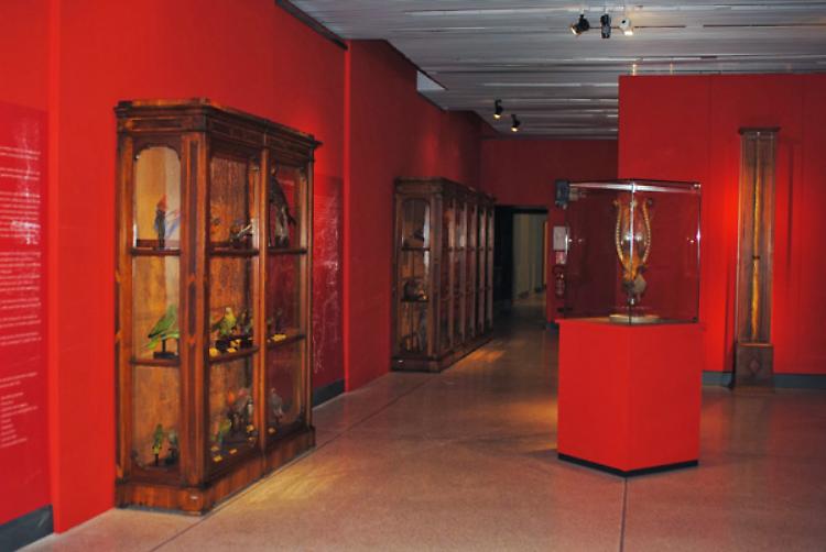 Nuovi minerali al Museo di Storia Naturale di Cremona