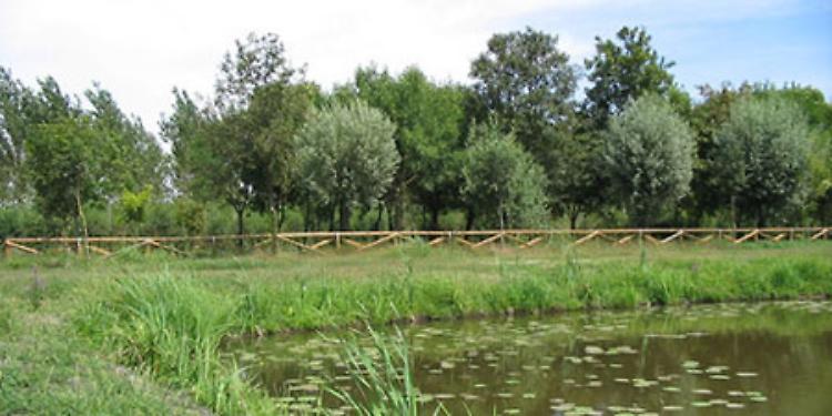 Il documentario 'L’olmo è anche un albero - il fiume racconta' al Museo civico