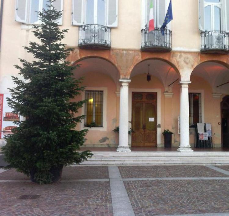 «Portate le palline per l’albero»