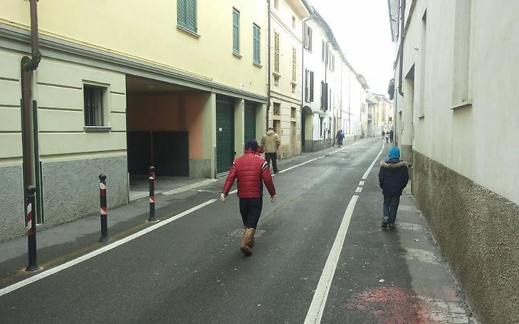 Veleno per i topi, ma a morire sono due cani