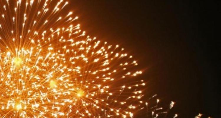 Il Comune ha deciso di vietare l'uso dei botti di Capodanno, pensi che sia una decisione giusta?