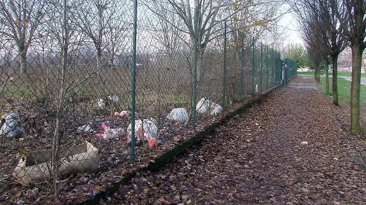 Discarica abusiva in 'vetrina' a due passi dal cimitero