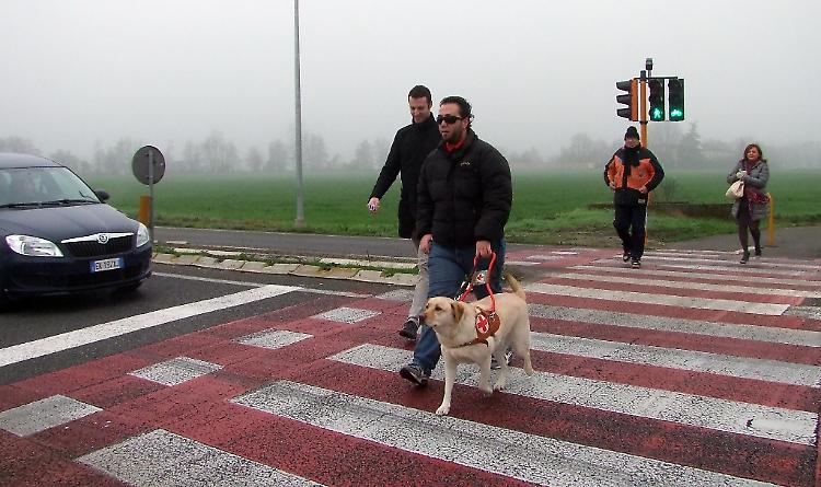 Un semaforo 'in dono' per Davide