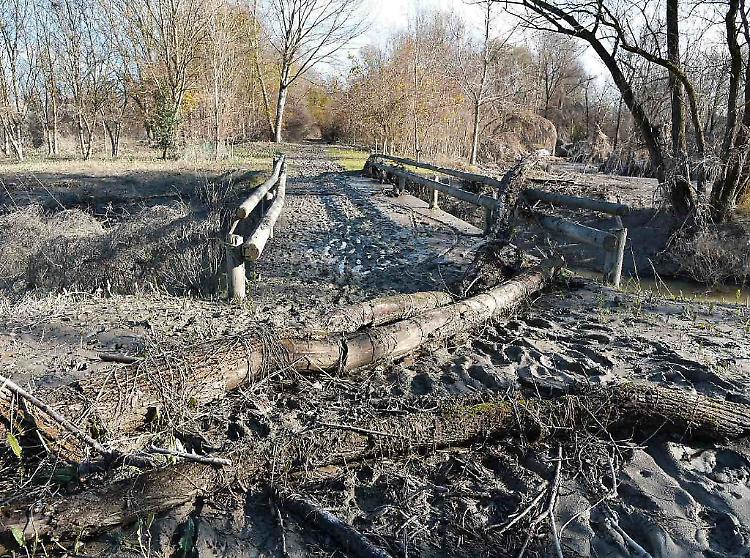 'Via Degli Olmi è ostruita', interpellanza dopo la piena