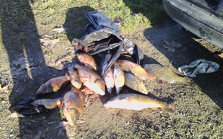 Fiocine e reti, scoperti e multati dodici pescatori di frodo