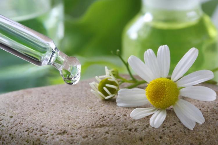 Appuntamento con il ciclo di conferenze 'vivere, sapere, benessere: esperienze Lumen'