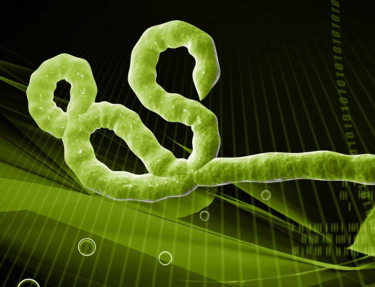 Virus Ebola, il 22 incontro al Filo