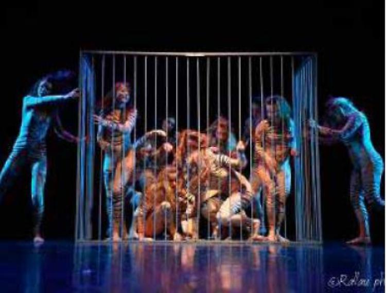 Crema in scena - Danza, via alle iscrizioni