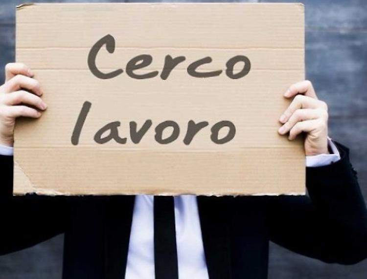 Centri per l'impiego e Informagiovani (13 ottobre 2016)