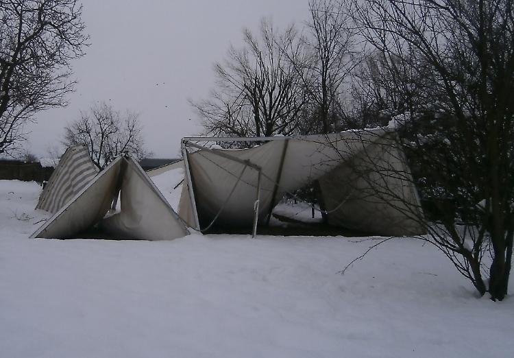 Disastro all’Iris, giù 43 serre su 56