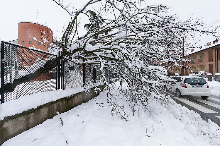 Nevicata, danni per mezzo milione; chiesto lo stato di calamità