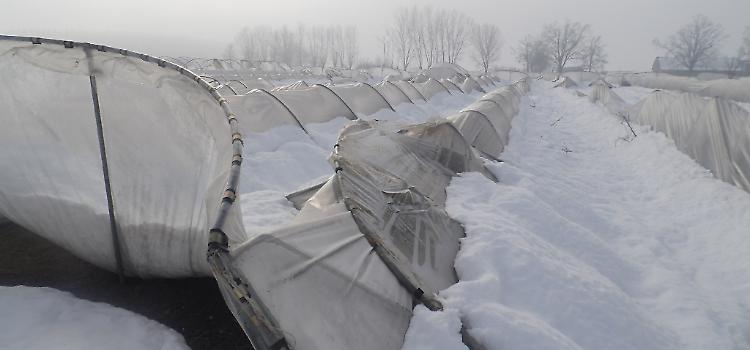 Neve, chiesto lo stato di calamità