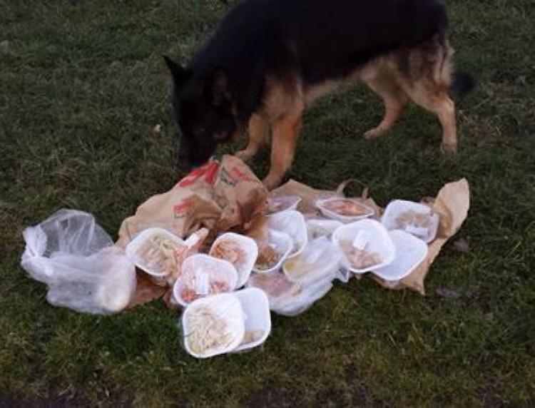 Trenta vaschette di cibo abbandonate lungo le rive del canale Vacchelli