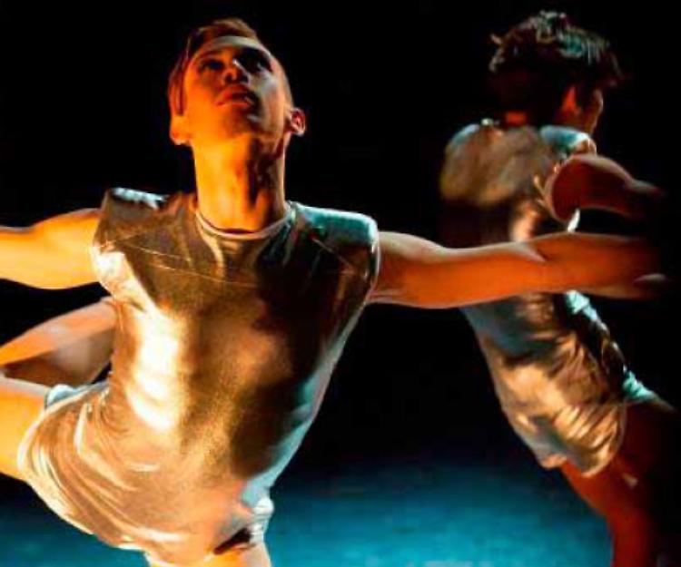 BIRD’S DANCE PROJECT "Ali per volare"
