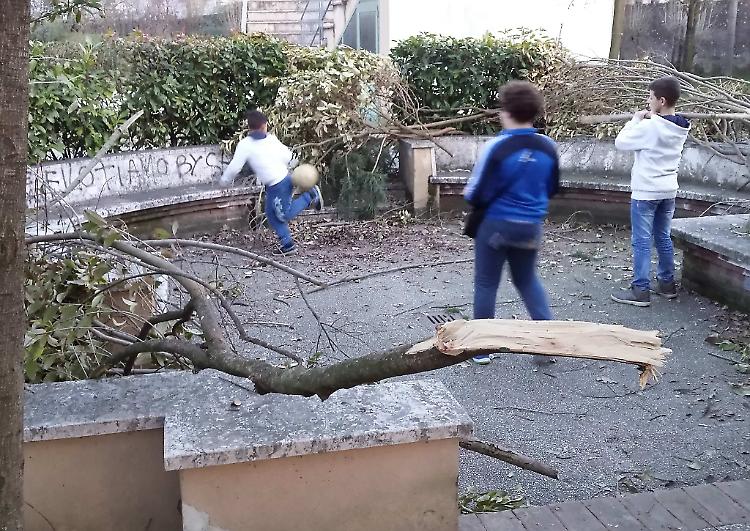 Quegli alberi spezzati
«pericolo per i bambini»