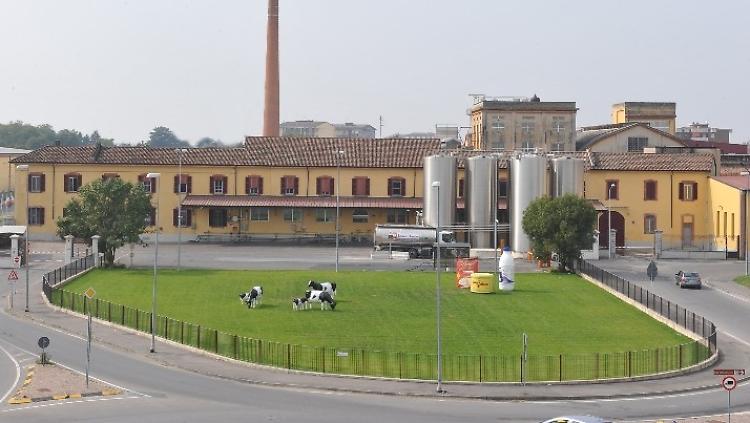 Agricoltura, Rolfi: 30 milioni di euro a 6 progetti di filieri