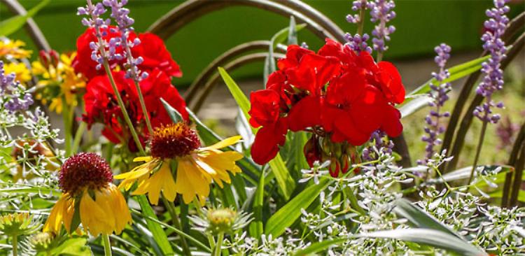 Brixia Florum, mostra mercato a Brescia