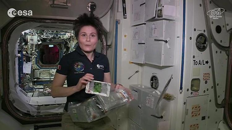 Olio, sgombro e guacamole: i pranzi spaziali di AstroSamantha