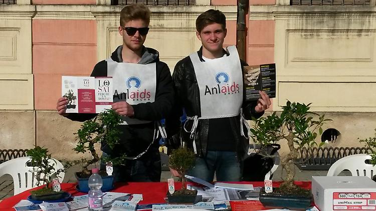 Un bonsai contro l'Aids, l'iniziativa per la prima volta a Torre