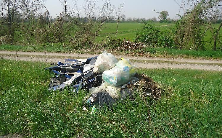 Rifiuti abusivi, altri scarichi