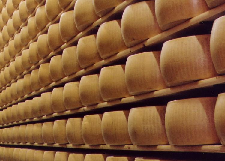 forme grana parmigiano formaggio