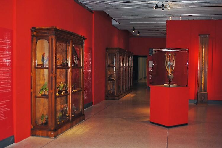 Musei aperti il 1° maggio a Cremona
